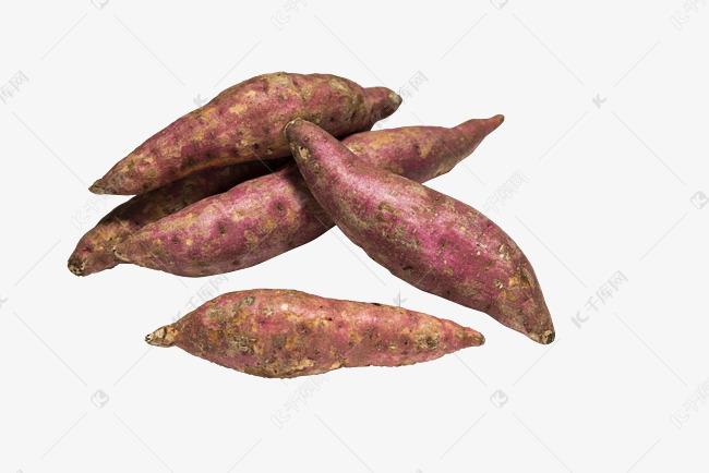 农作物红薯实拍